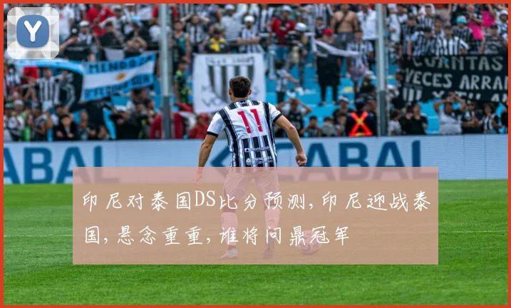 印尼对泰国DS比分预测,印尼迎战泰国,悬念重重,谁将问鼎冠军