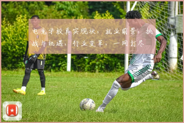 电竞学校真实现状，就业前景，挑战与机遇，行业变革，一网打尽