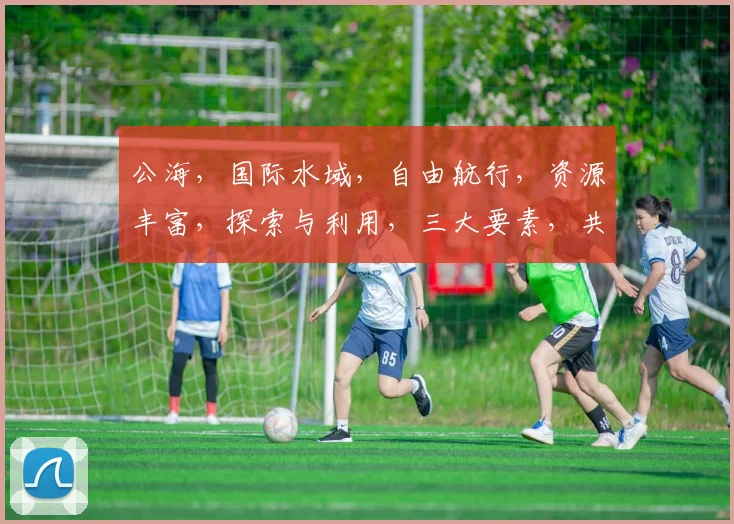 公海，国际水域，自由航行，资源丰富，探索与利用，三大要素，共筑蓝色梦想。