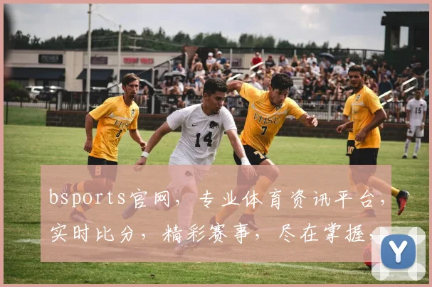 bsports官网，专业体育资讯平台，实时比分，精彩赛事，尽在掌握，畅享体育盛宴，不容错过
