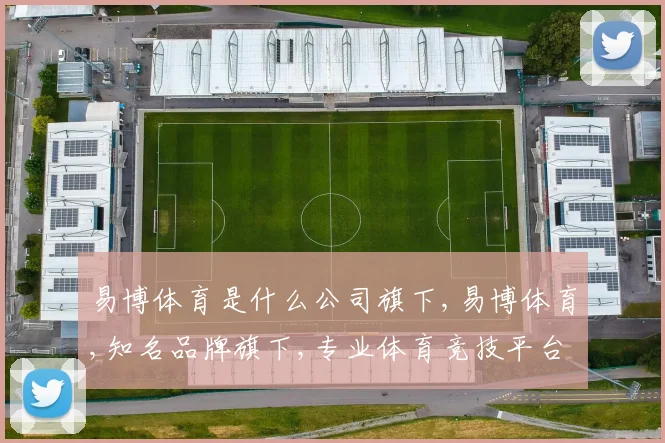 易博体育是什么公司旗下,易博体育,知名品牌旗下,专业体育竞技平台