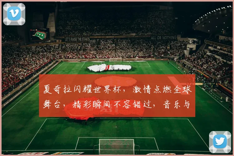 夏奇拉闪耀世界杯，激情点燃全球舞台，精彩瞬间不容错过，音乐与足球的完美融合